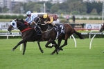 Bowman Happy To Lead George Ryder Stakes Field Bowman Happy To Lead George Ryder Stakes Field