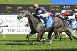 Chautauqua produces sizzling gallop in lead up to Chairman’s Sprint Prize
