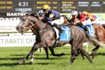 2017 TJ Smith Stakes Field & Barrier Draw 2017 TJ Smith Stakes Field & Barrier Draw