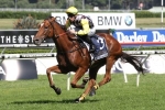 Clearly Innocent heads the weights after 1st acceptances for Stradbroke Handicap Clearly Innocent heads the weights after 1st acceptances for Stradbroke Handicap