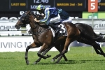 Rain will help He’s Our Rokkii’s chances in Caulfield Cup