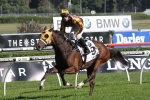 Tavago Pleases Ahead of Spring Carnival Return Tavago Pleases Ahead of Spring Carnival Return