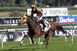 Tavago Pleases Ahead of Spring Carnival Return