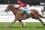 Tempt Me Not Makes All In PJ Bell Stakes