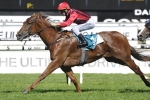 Tempt Me Not Makes All In PJ Bell Stakes Tempt Me Not Makes All In PJ Bell Stakes
