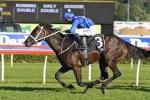 Winx plus ten others in 2017 Warwick Stakes nominations
