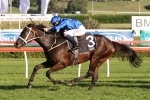 Tosen to Tackle Winx in George Main over Underwood Tosen to Tackle Winx in George Main over Underwood