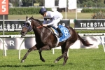 Yankee Rose under injury cloud for Golden Rose Stakes