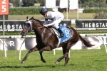 Yankee Rose no certainty to run out 2500m of Crown Oaks Yankee Rose no certainty to run out 2500m of Crown Oaks