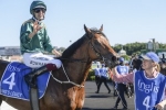 Crosshaven firms in Caulfield Guineas betting after Exford Plate win