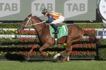The Everest favourite Nature Strip streets his rivals in Rosehill trial