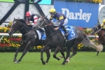 Lord Of The Sky Ready For Oakleigh Plate Return