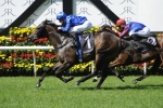 Furnaces Takes Out 2015 Kindergarten Stakes Furnaces Takes Out 2015 Kindergarten Stakes