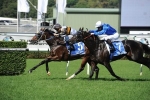 Hi World Scores Maiden Stakes Win In Carbine Club Stakes