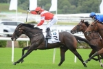 Caulfield Cup favourite Mongolian Khan in peak form Caulfield Cup favourite Mongolian Khan in peak form