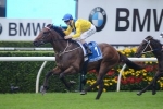 Caulfield Guineas The Likely Target For Rageese