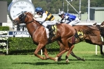 Boss to take control of Gallic Chieftain in 2019 Sydney Cup