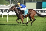 Zoustyle to chase Everest slot with win in Schillaci Stakes