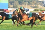 Luvaluva lays down Australian Oaks claims with Adrian Knox Stakes win