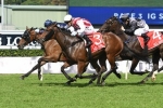 Thousand Guineas The Long-Term Goal For Percy Sykes Stakes Winner Shoals