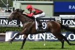 Champagne Stakes An Option For Fernhill Handicap Winner Whispered Secret Champagne Stakes An Option For Fernhill Handicap Winner Whispered Secret