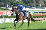 Winx is featured in the 2018 Queen Elizabeth Stakes nominations