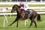 Azkadellia on track for Stradbroke Handicap