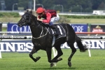 Prized Icon’s Victoria Derby Form pleases stable Prized Icon’s Victoria Derby Form pleases stable