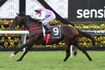 Two Blue Capable of Winning Godolphin Crown Two Blue Capable of Winning Godolphin Crown