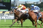 Delectation Scores Narrow Arrowfield Sprint Win Delectation Scores Narrow Arrowfield Sprint Win