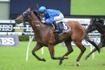 Godolphin pair on Stradbroke Handicap trial in BRC Sprint