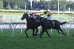 Cassidy Chasing Another Melbourne Cup With Grand Marshal Cassidy Chasing Another Melbourne Cup With Grand Marshal