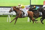 2015 Queen Elizabeth Stakes Tips: Criterion The Value