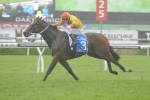 Lankan Rupee Finishes Second In Barrier Trial