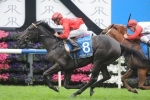 96 Nominated for 2014 Spring Champion Stakes
