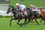 Politeness Set For Myer Classic
