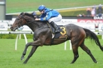 Melbourne Cup favourite The Offer impresses with Rosehill gallop