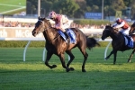 Black Caviar Silences Doubters With Win 25 in TJ Smith Black Caviar Silences Doubters With Win 25 in TJ Smith