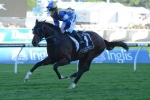 Chipping Norton Stakes Preparations Continue For It’s A Dundeel