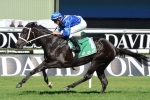 Royal Descent could be surprise Oaks runner after Adrian Knox win Royal Descent could be surprise Oaks runner after Adrian Knox win