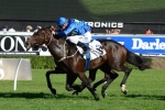 No Doncaster for Skyerush Despite Prelude Win No Doncaster for Skyerush Despite Prelude Win