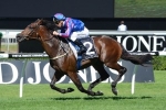 Hawkes Expecting Bold Showing From Toydini In George Main Stakes