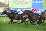 Kenedna dives through to win 2019 Coolmore Legacy Stakes