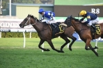 Shraaoh too strong to win 2019 Sydney Cup