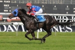 Pierro heads Hobartville Stakes Nominations