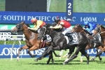 California Turbo’s Queensland Derby assault to take off in Gunsynd Classic