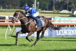 A Cox Plate start is on the cards for Poetic Dream