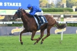 Wide barrier could force Raiment out of Glenlogan Park Stakes