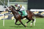 Money For Hi World In Memsie Stakes Betting Money For Hi World In Memsie Stakes Betting