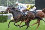 Thousand Guineas now the target for Inner City Girl